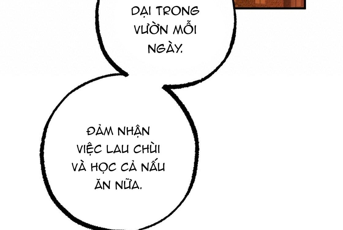 đọc truyện Những Chú Thỏ Của Hapypy Chương 24 ảnh 256 tại Giả Dược