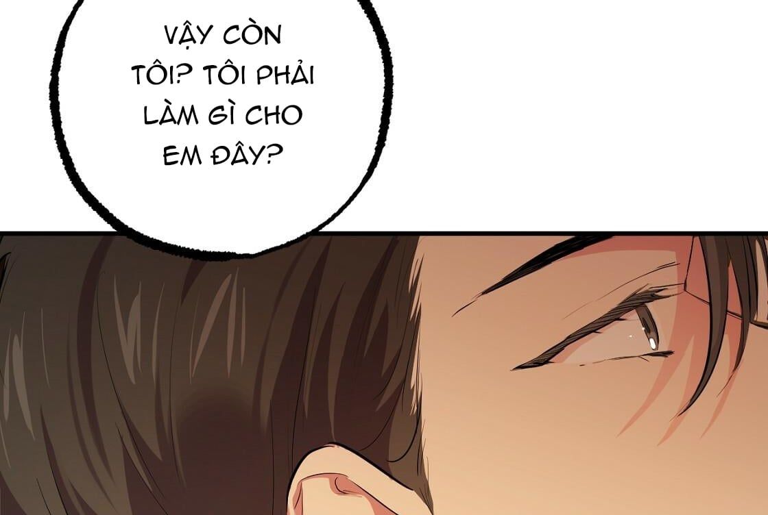 đọc truyện Những Chú Thỏ Của Hapypy Chương 24 ảnh 262 tại Giả Dược