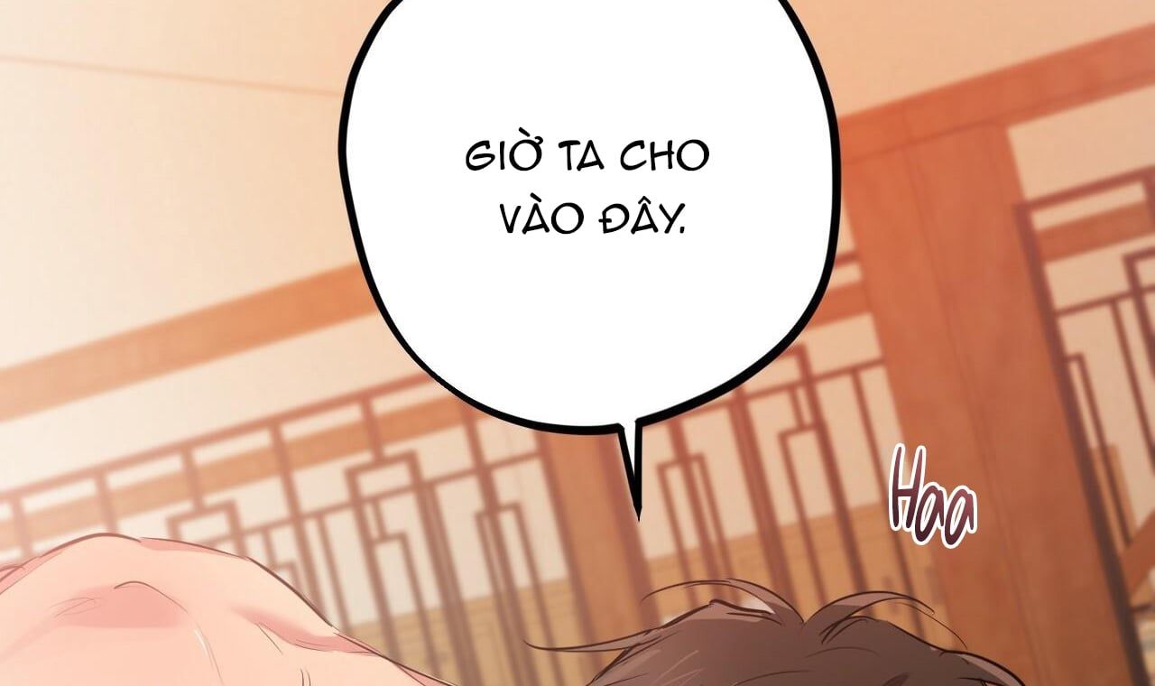 đọc truyện Những Chú Thỏ Của Hapypy Chương 25 ảnh 159 tại Giả Dược