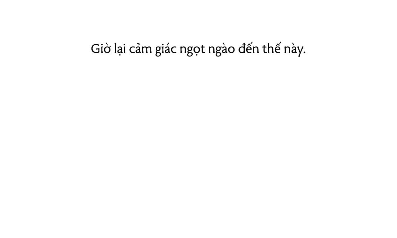 đọc truyện Những Chú Thỏ Của Hapypy Chương 25 ảnh 87 tại Giả Dược