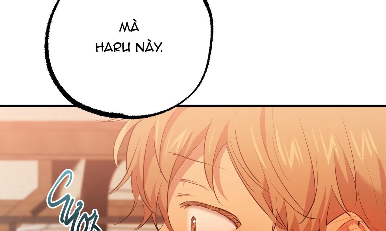 đọc truyện Những Chú Thỏ Của Hapypy Chương 25 ảnh 93 tại Giả Dược