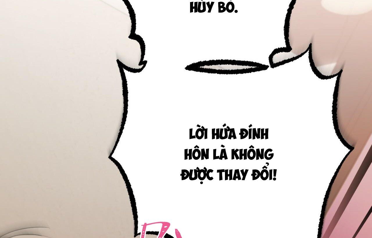 đọc truyện Những Chú Thỏ Của Hapypy Chương 26 ảnh 111 tại Giả Dược