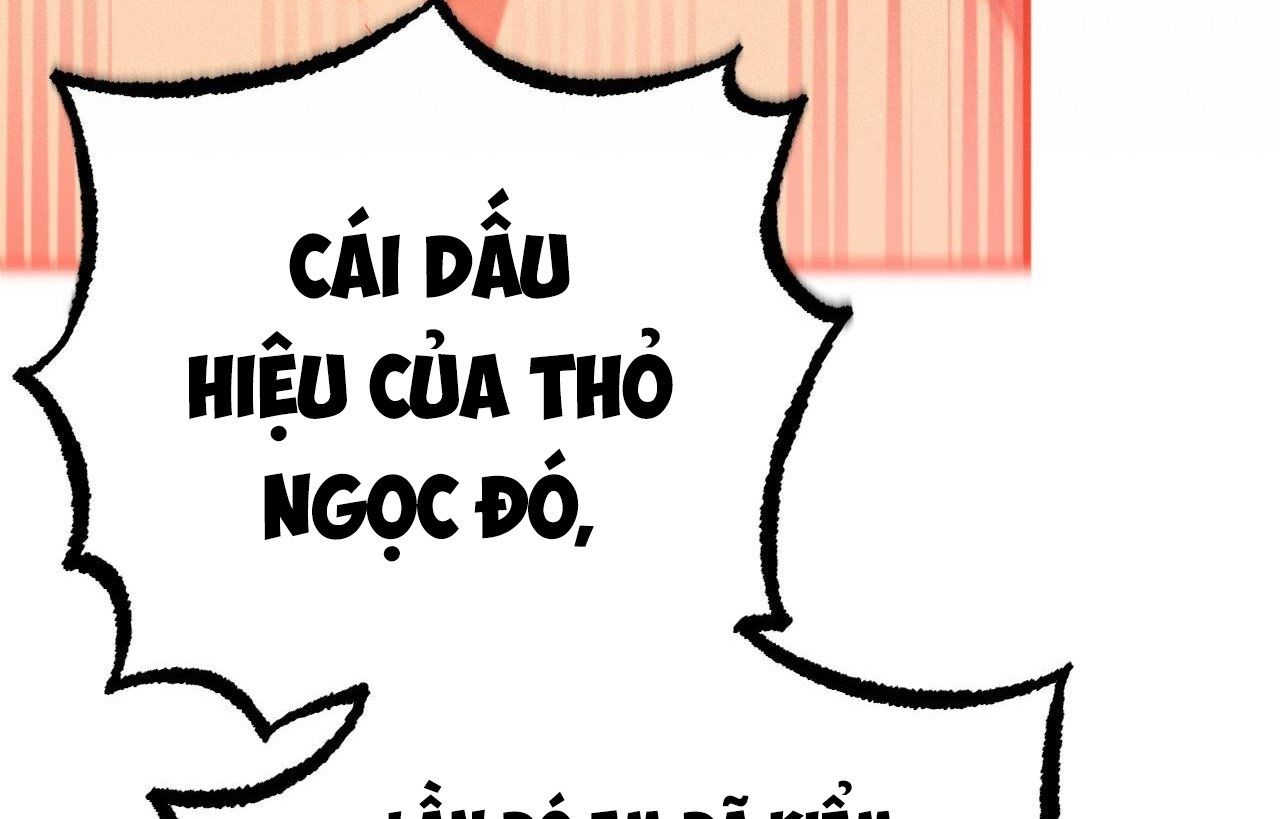 đọc truyện Những Chú Thỏ Của Hapypy Chương 26 ảnh 150 tại Giả Dược