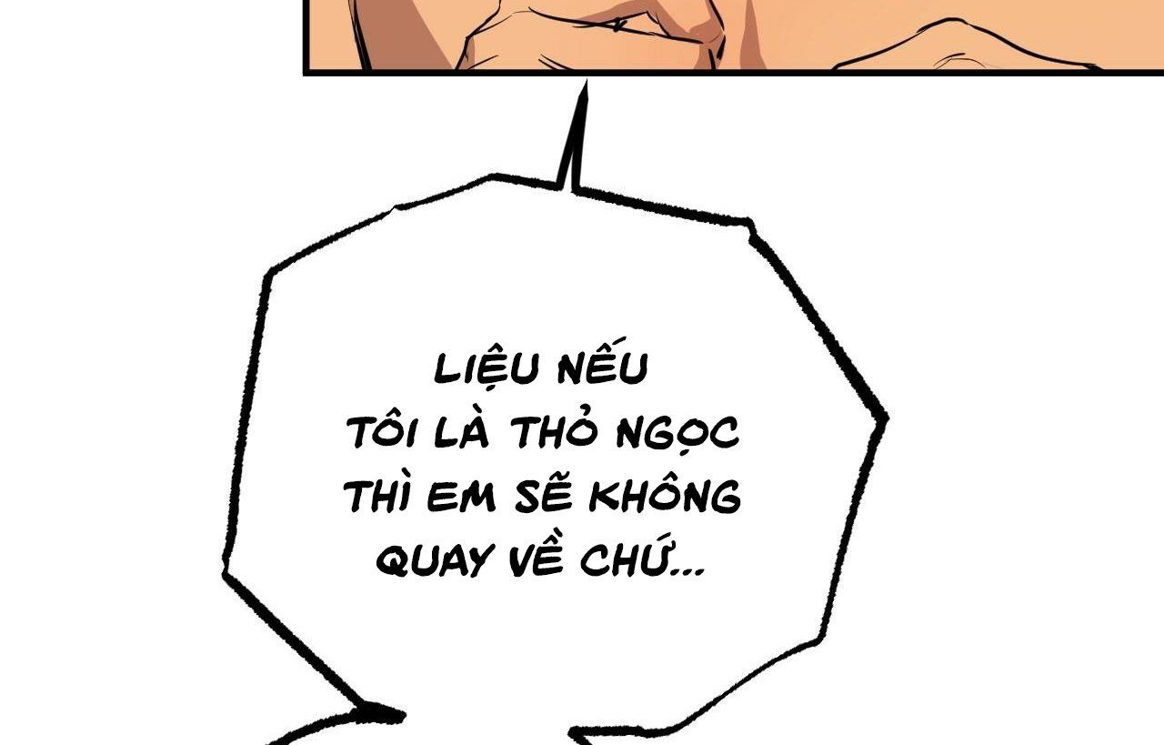 đọc truyện Những Chú Thỏ Của Hapypy Chương 26 ảnh 159 tại Giả Dược