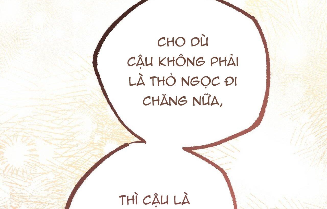 đọc truyện Những Chú Thỏ Của Hapypy Chương 26 ảnh 204 tại Giả Dược