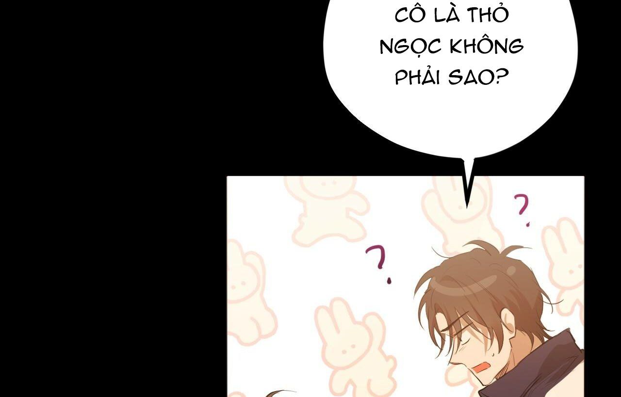 đọc truyện Những Chú Thỏ Của Hapypy Chương 26 ảnh 223 tại Giả Dược