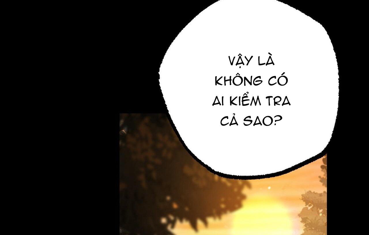 đọc truyện Những Chú Thỏ Của Hapypy Chương 26 ảnh 235 tại Giả Dược