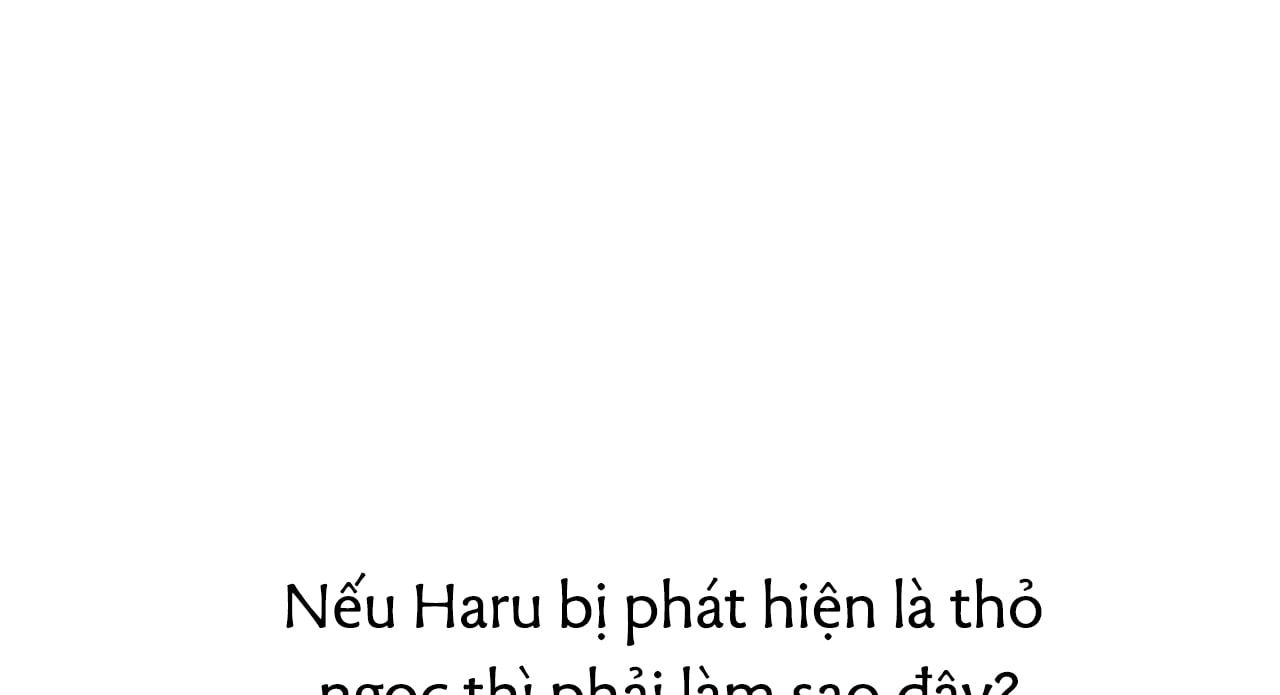 đọc truyện Những Chú Thỏ Của Hapypy Chương 27 ảnh 138 tại Giả Dược
