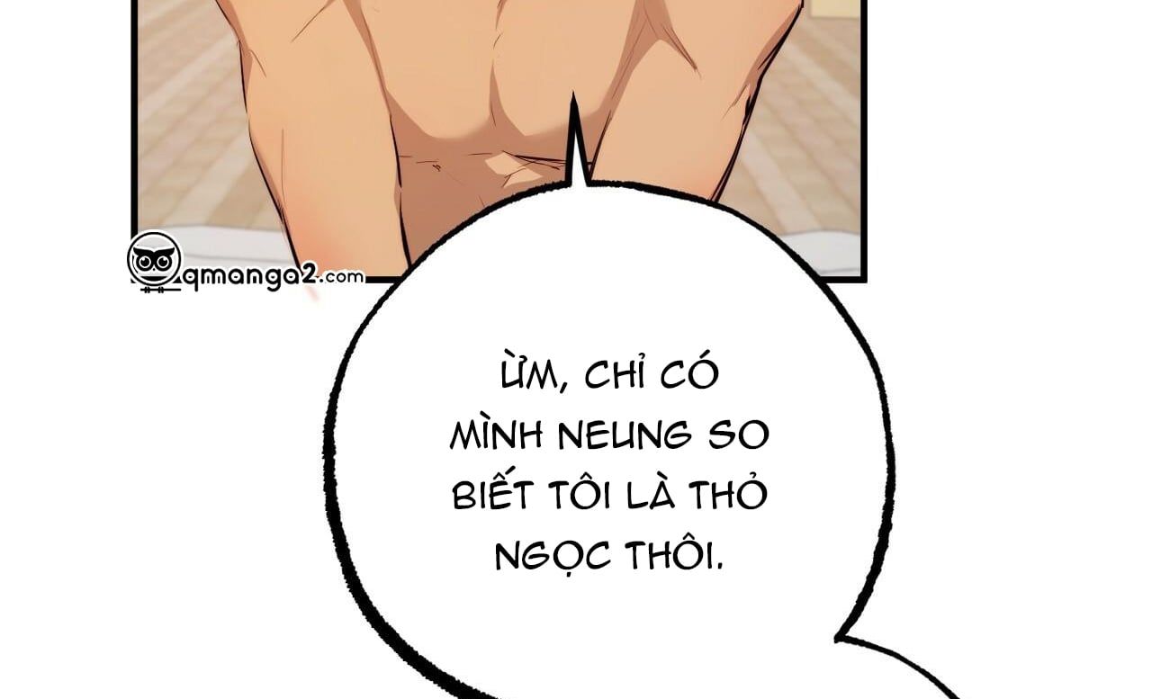 đọc truyện Những Chú Thỏ Của Hapypy Chương 27 ảnh 159 tại Giả Dược
