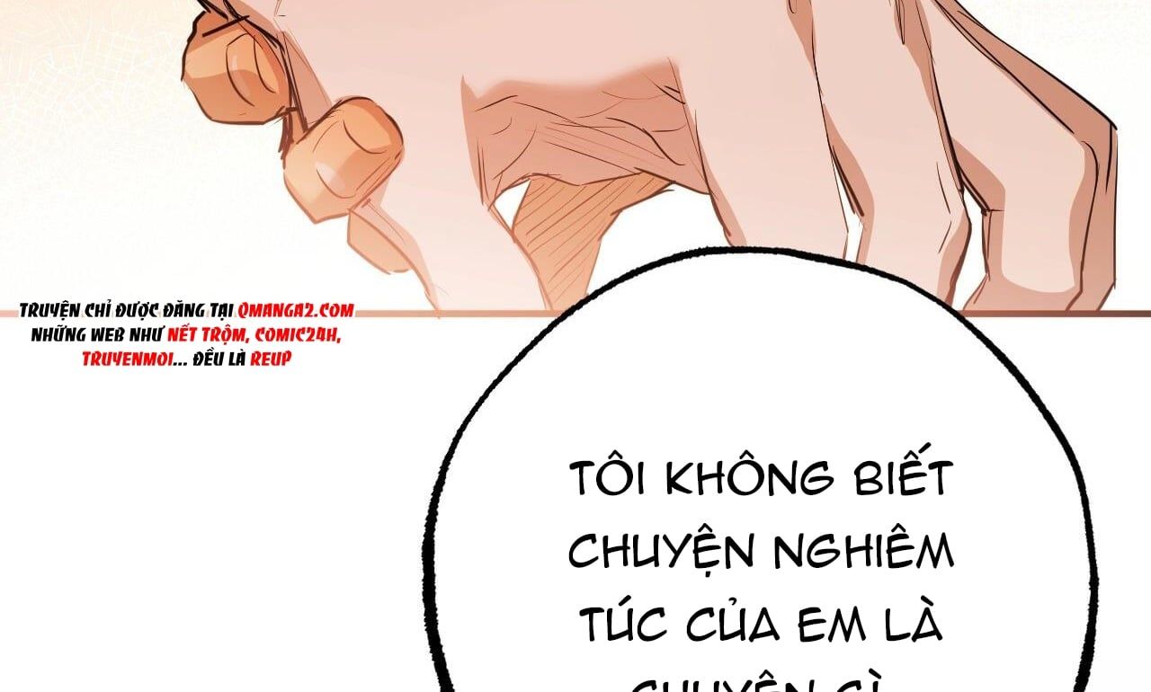 đọc truyện Những Chú Thỏ Của Hapypy Chương 27 ảnh 200 tại Giả Dược
