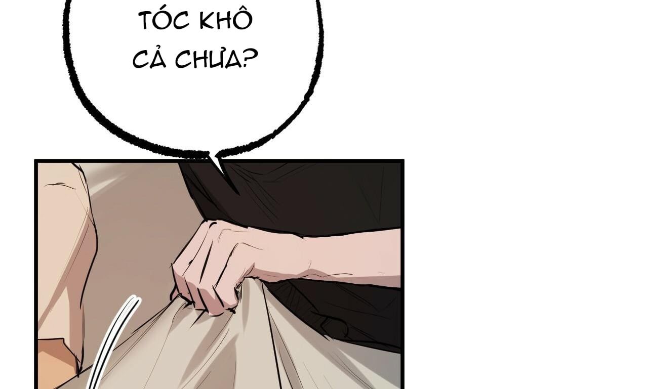 đọc truyện Những Chú Thỏ Của Hapypy Chương 27 ảnh 252 tại Giả Dược