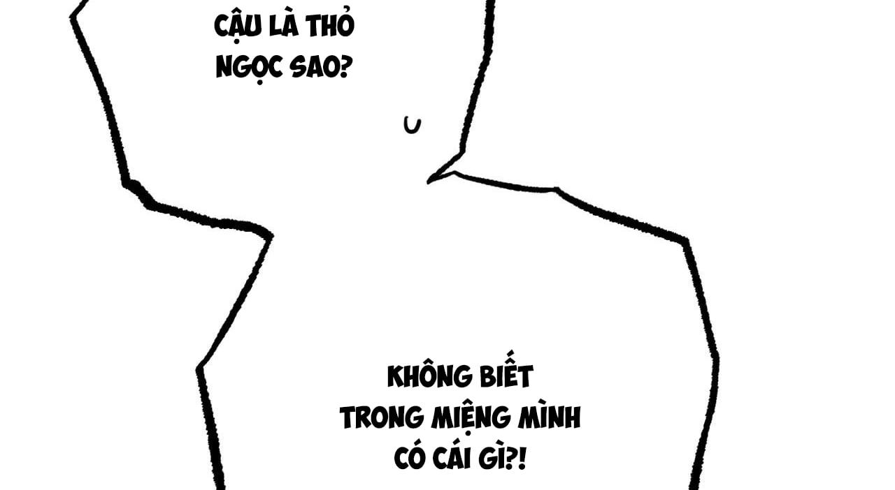 đọc truyện Những Chú Thỏ Của Hapypy Chương 27 ảnh 32 tại Giả Dược