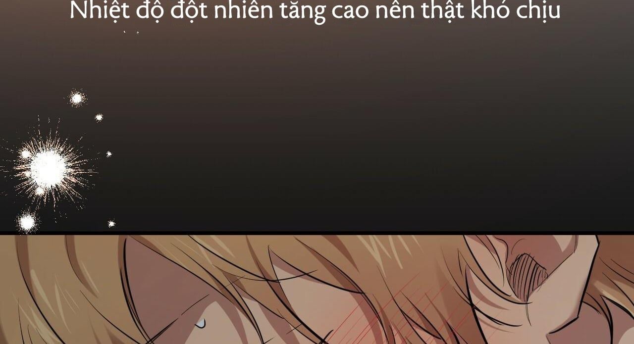 đọc truyện Những Chú Thỏ Của Hapypy Chương 27 ảnh 77 tại Giả Dược