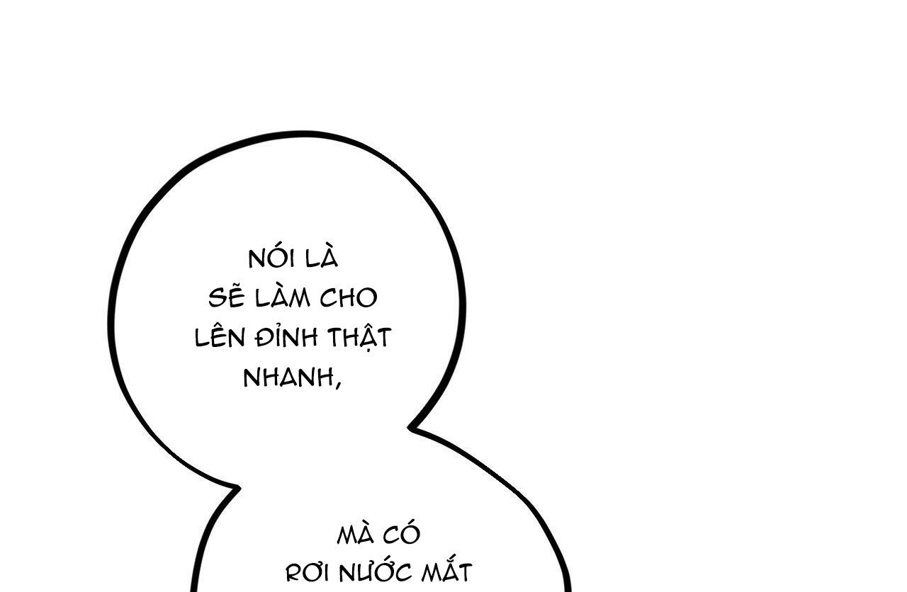 đọc truyện Những Chú Thỏ Của Hapypy Chương 29 ảnh 165 tại Giả Dược