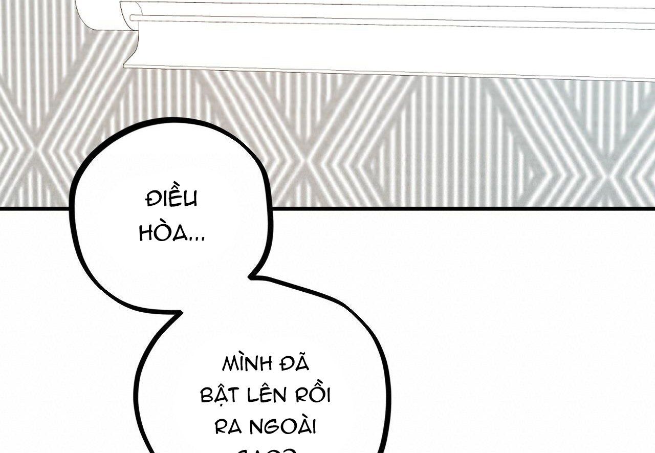 đọc truyện Những Chú Thỏ Của Hapypy Chương 29 ảnh 207 tại Giả Dược