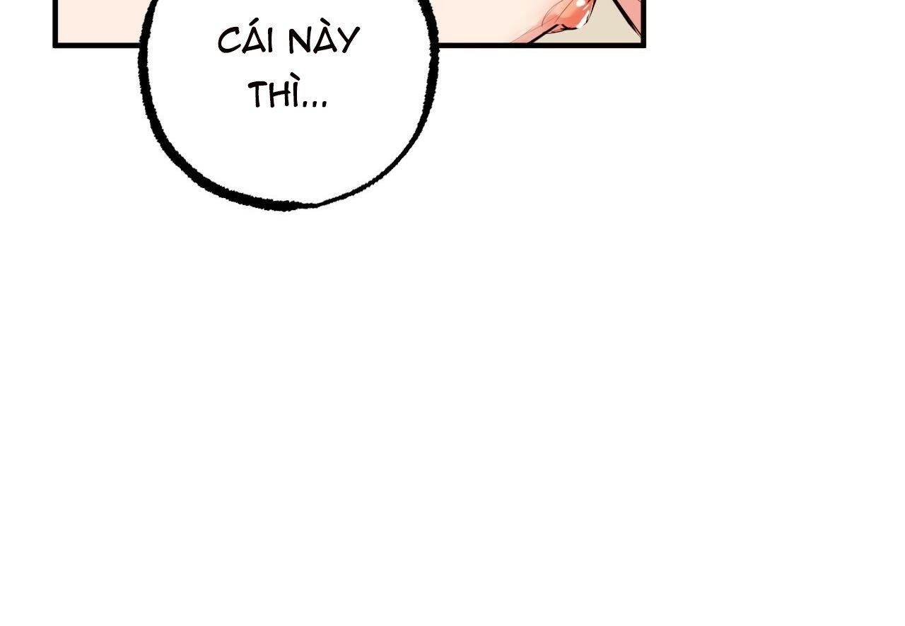 đọc truyện Những Chú Thỏ Của Hapypy Chương 29 ảnh 35 tại Giả Dược