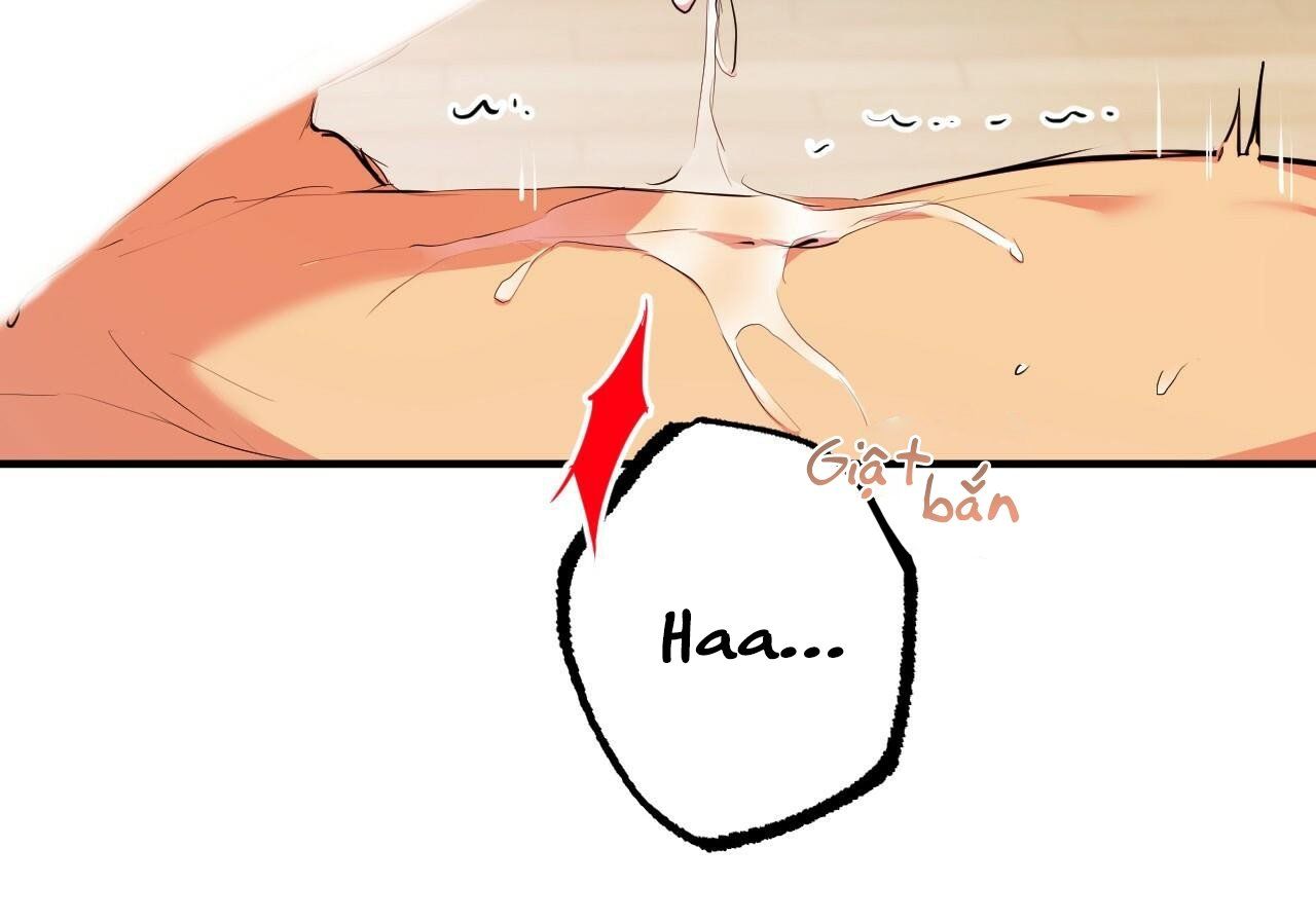 đọc truyện Những Chú Thỏ Của Hapypy Chương 29 ảnh 8 tại Giả Dược
