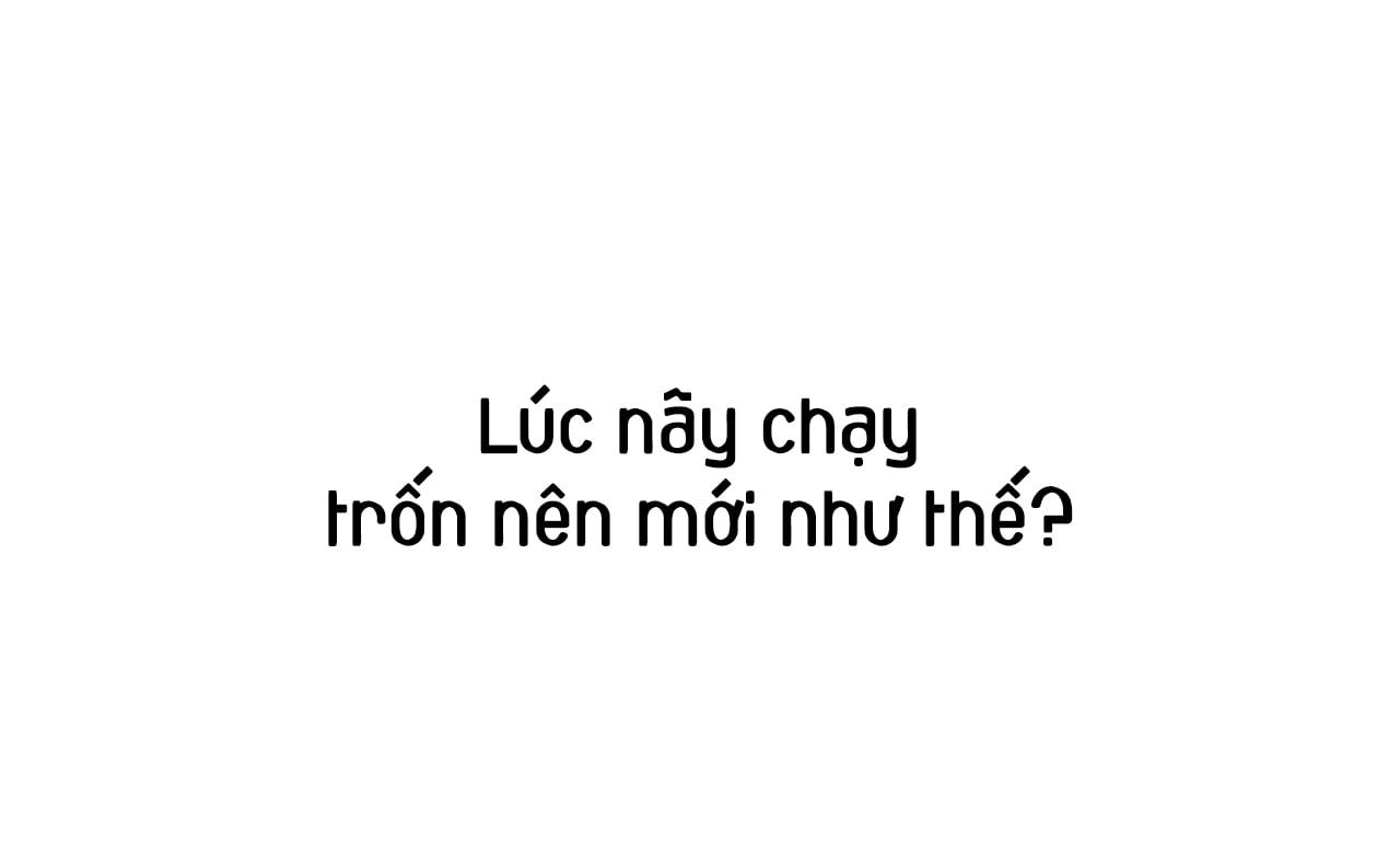 đọc truyện Những Chú Thỏ Của Hapypy Chương 30 ảnh 116 tại Giả Dược