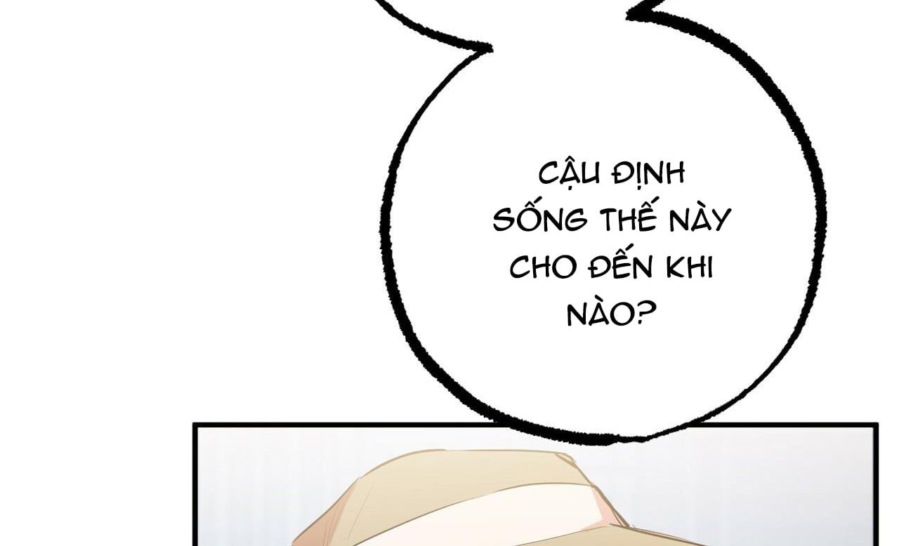 đọc truyện Những Chú Thỏ Của Hapypy Chương 30 ảnh 170 tại Giả Dược