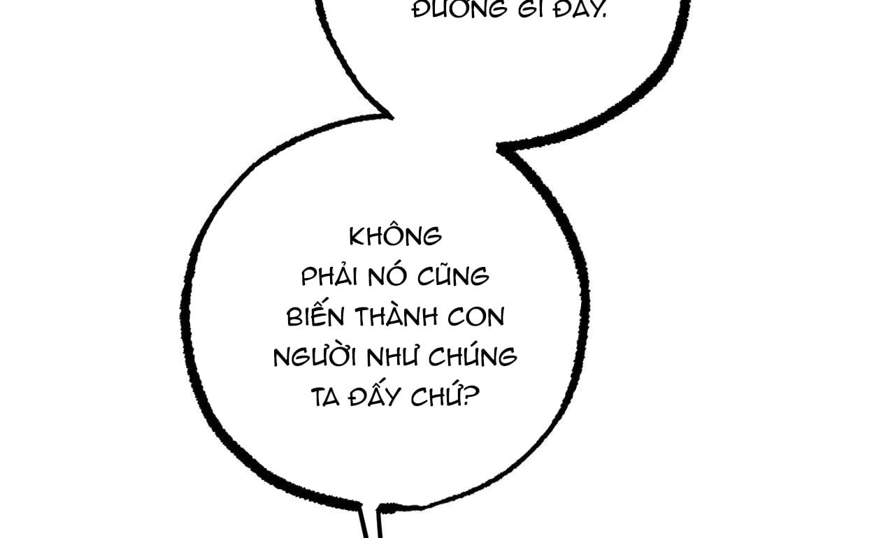 đọc truyện Những Chú Thỏ Của Hapypy Chương 30 ảnh 228 tại Giả Dược