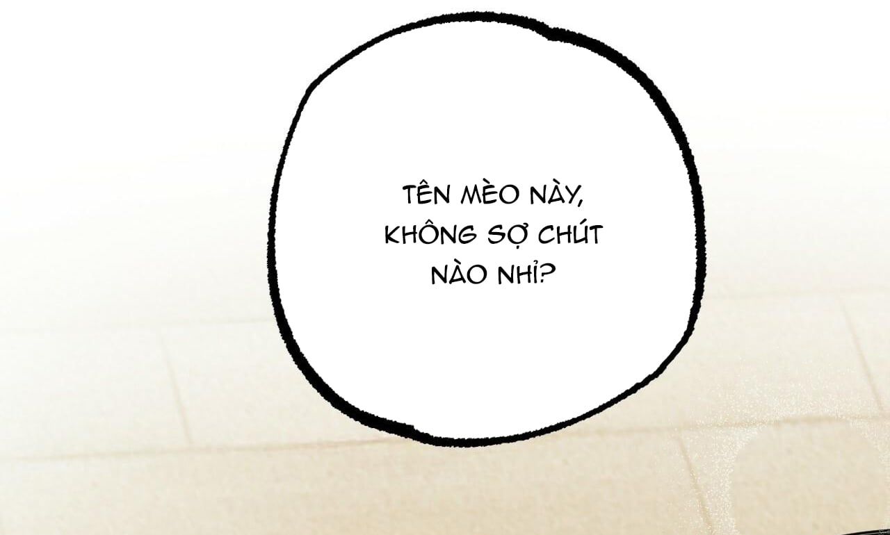 đọc truyện Những Chú Thỏ Của Hapypy Chương 30 ảnh 241 tại Giả Dược