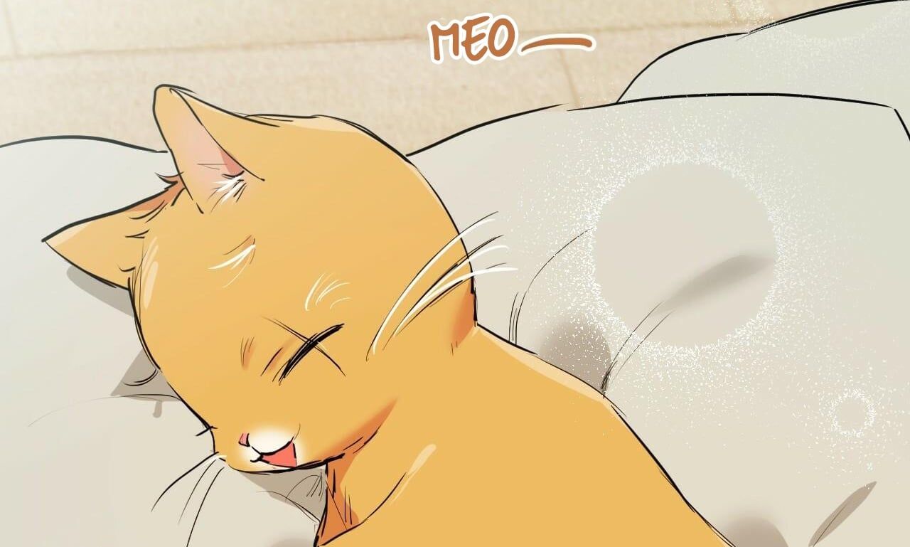 đọc truyện Những Chú Thỏ Của Hapypy Chương 30 ảnh 242 tại Giả Dược