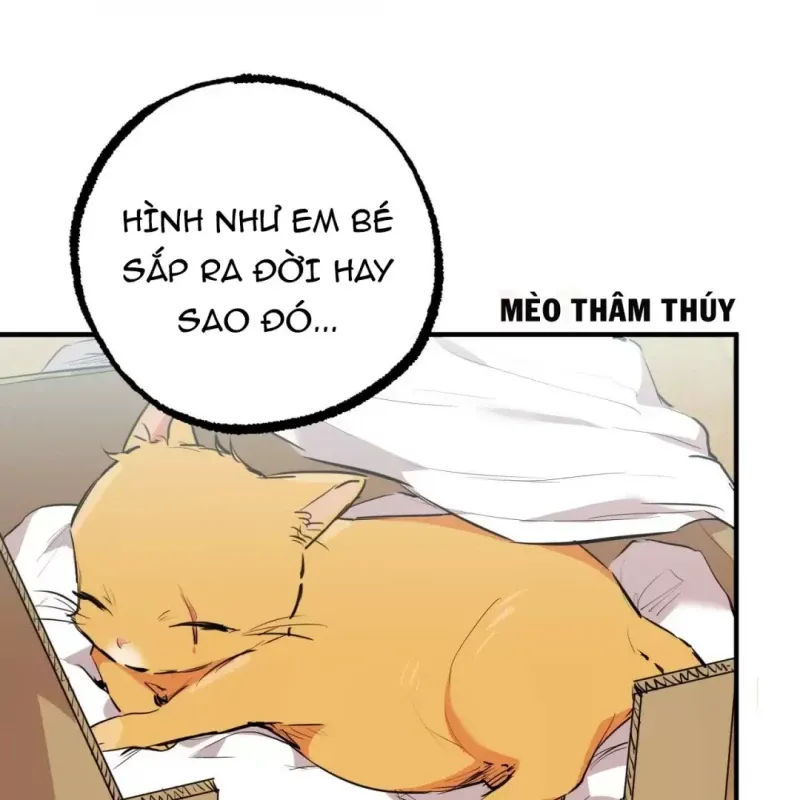 đọc truyện Những Chú Thỏ Của Hapypy Chương 31 ảnh 25 tại Giả Dược