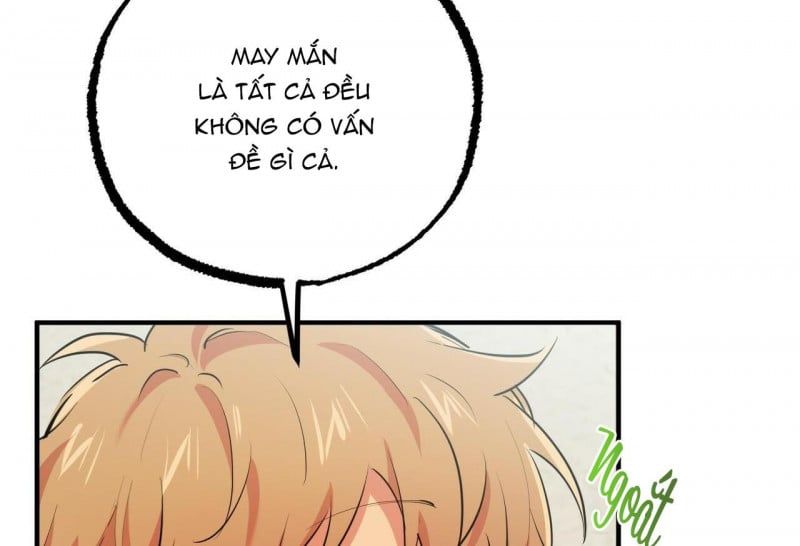 đọc truyện Những Chú Thỏ Của Hapypy Chương 32 ảnh 13 tại Giả Dược