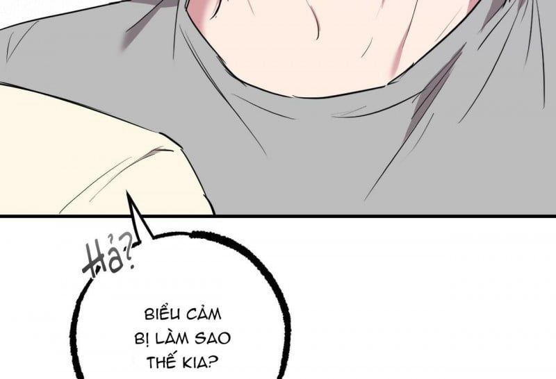 đọc truyện Những Chú Thỏ Của Hapypy Chương 32 ảnh 18 tại Giả Dược