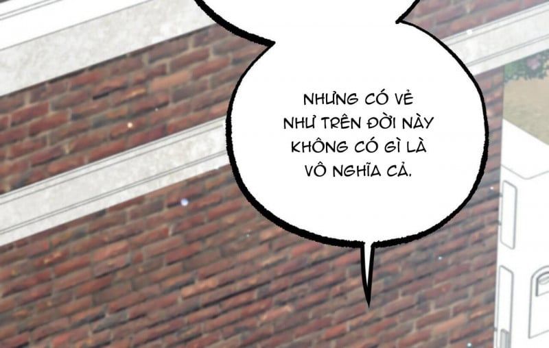 đọc truyện Những Chú Thỏ Của Hapypy Chương 32 ảnh 61 tại Giả Dược