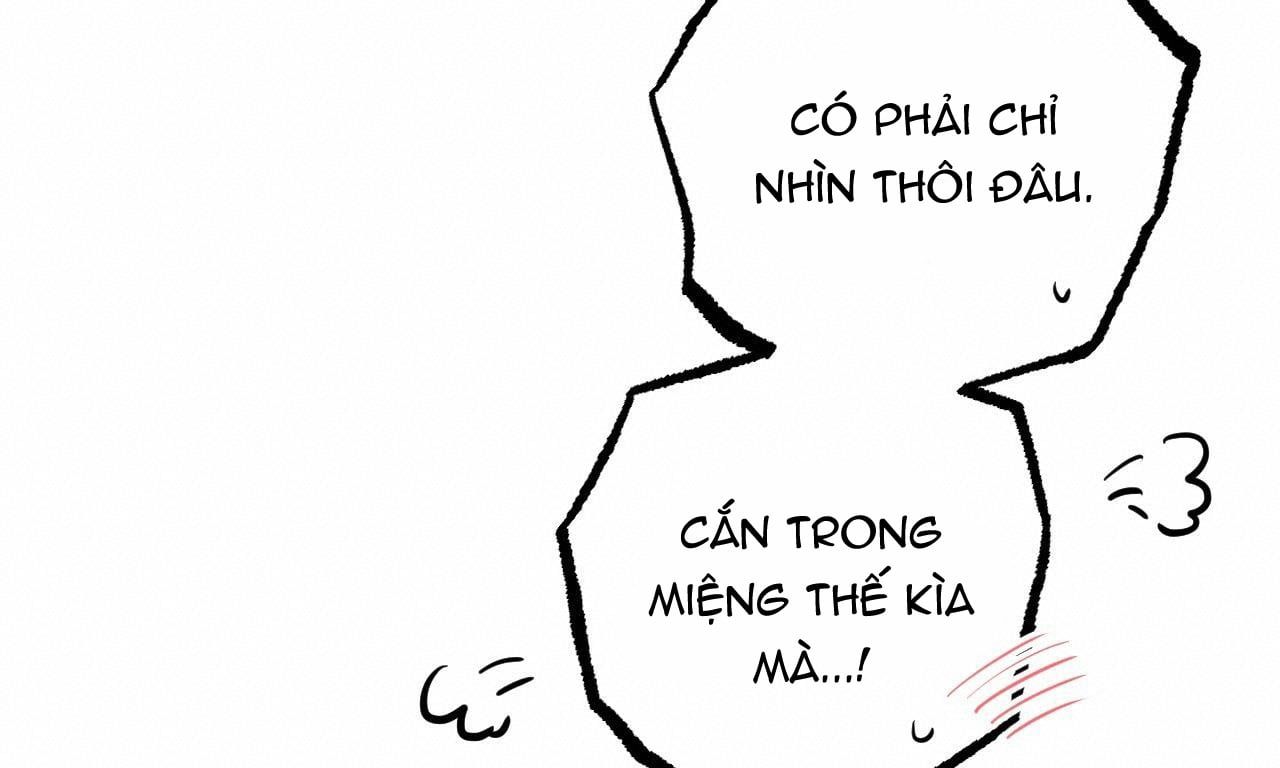 đọc truyện Những Chú Thỏ Của Hapypy Chương 33 ảnh 102 tại Giả Dược