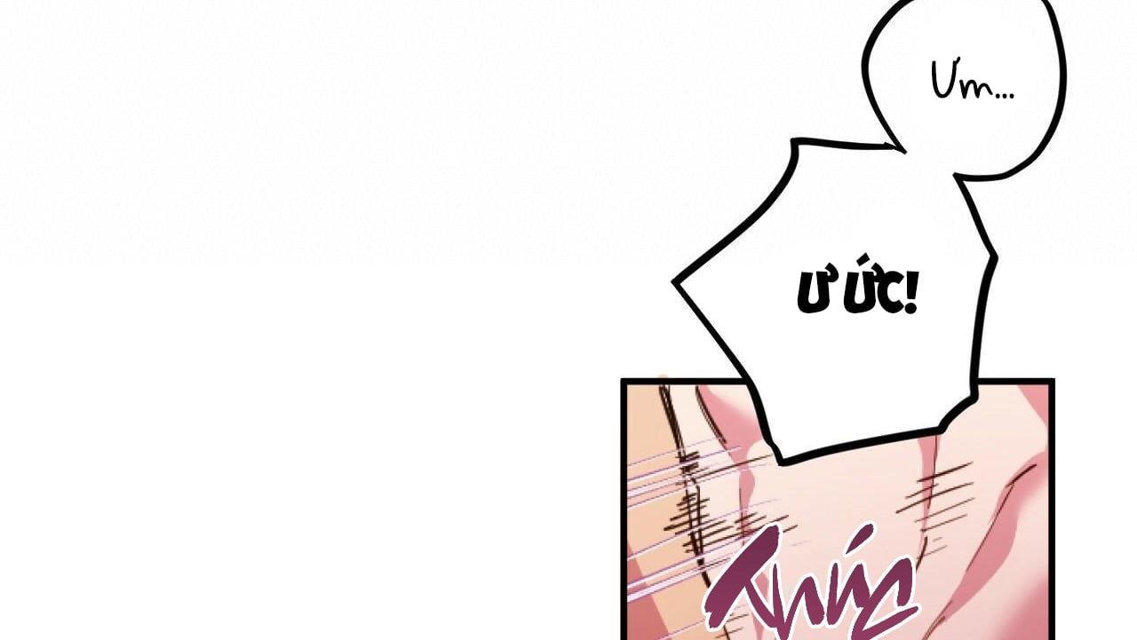 đọc truyện Những Chú Thỏ Của Hapypy Chương 33 ảnh 169 tại Giả Dược