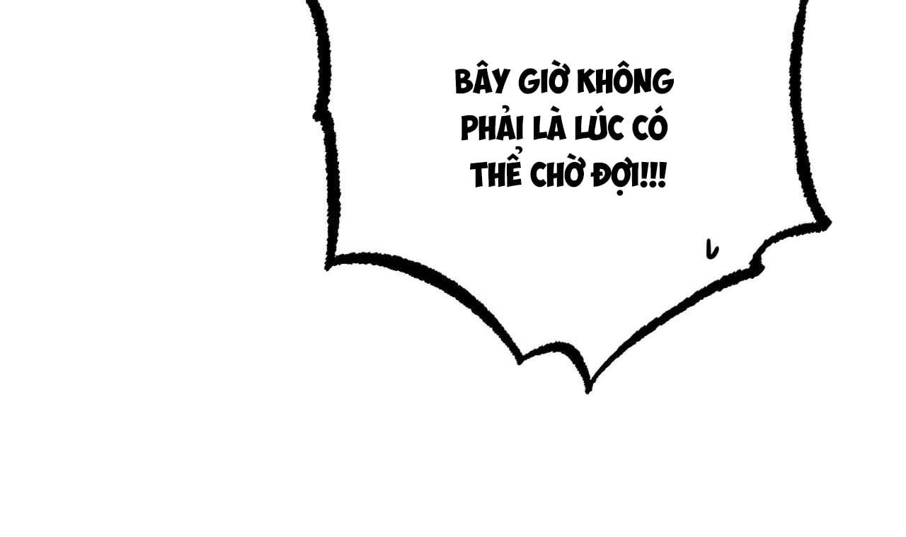 đọc truyện Những Chú Thỏ Của Hapypy Chương 33 ảnh 239 tại Giả Dược