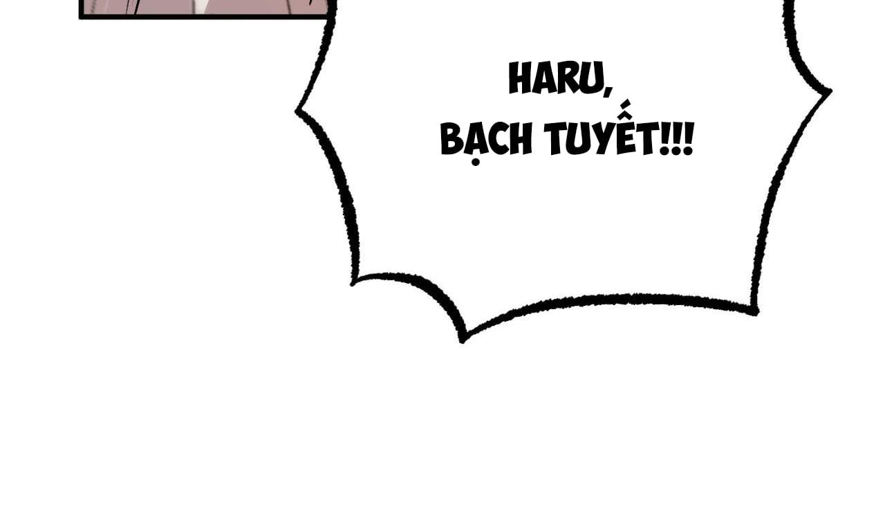 đọc truyện Những Chú Thỏ Của Hapypy Chương 33 ảnh 251 tại Giả Dược