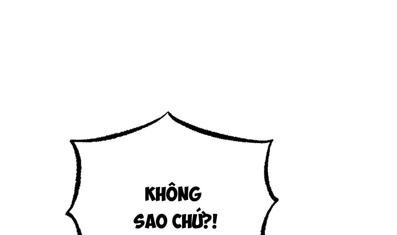 đọc truyện Những Chú Thỏ Của Hapypy Chương 33 ảnh 252 tại Giả Dược