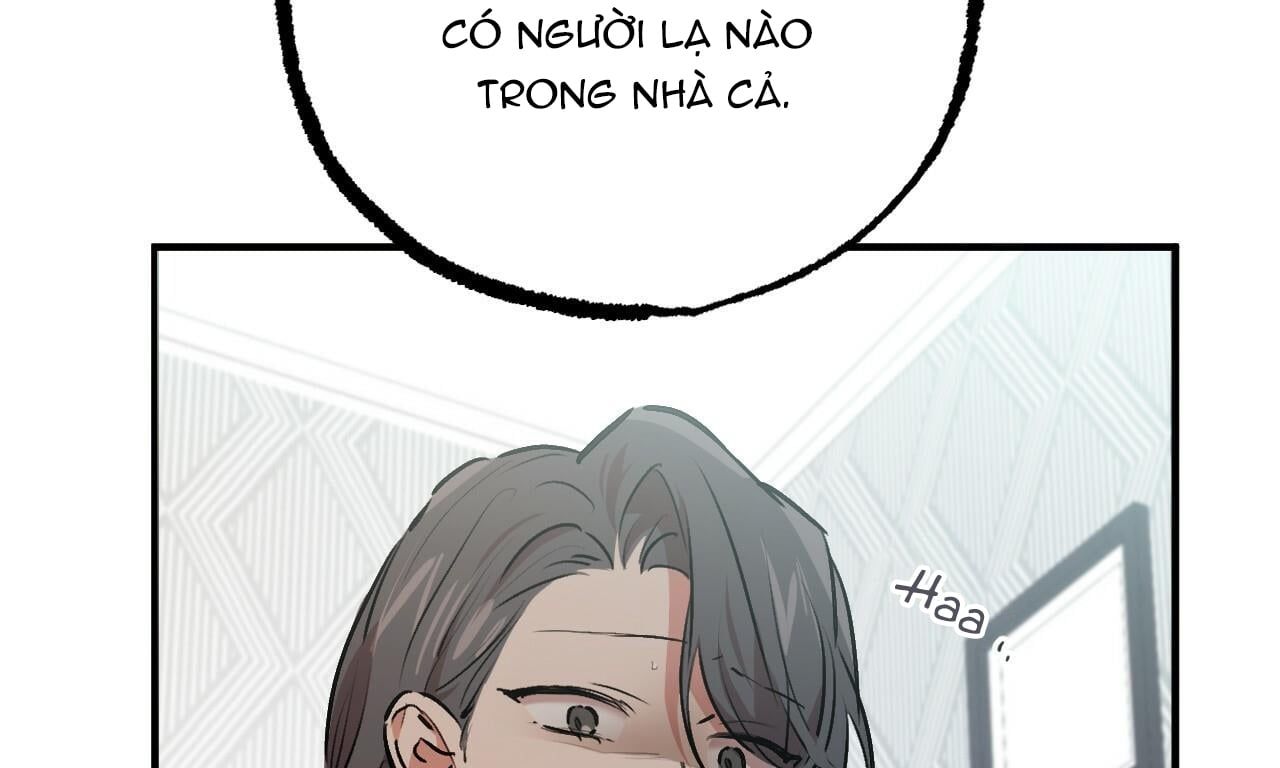 đọc truyện Những Chú Thỏ Của Hapypy Chương 33 ảnh 270 tại Giả Dược
