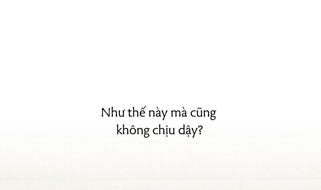 đọc truyện Những Chú Thỏ Của Hapypy Chương 33 ảnh 34 tại Giả Dược
