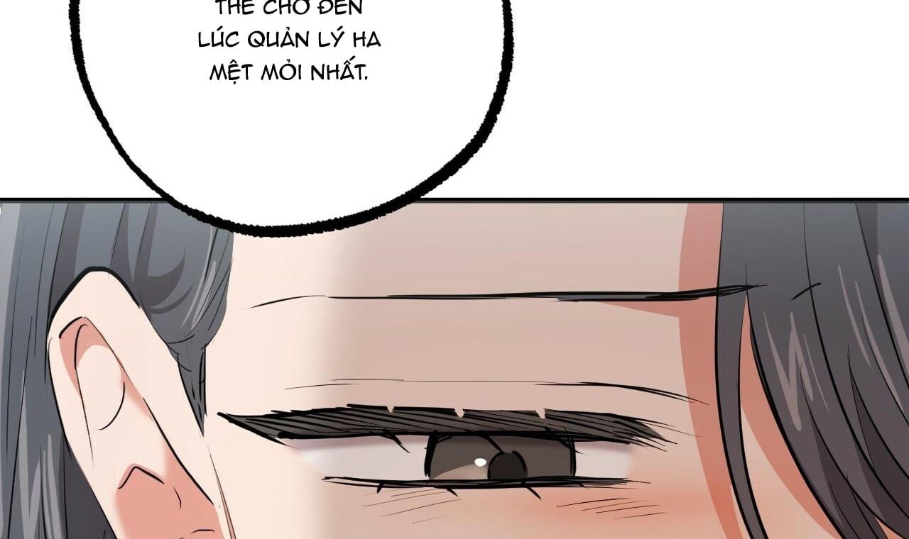 đọc truyện Những Chú Thỏ Của Hapypy Chương 34 ảnh 175 tại Giả Dược
