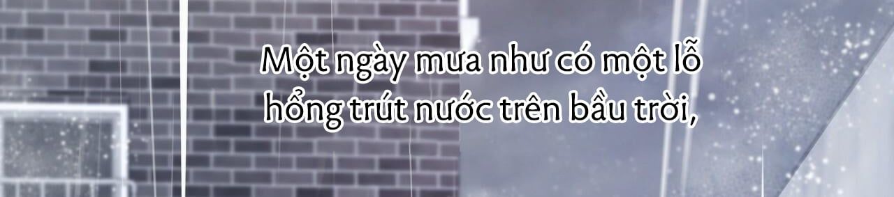 đọc truyện Những Chú Thỏ Của Hapypy Chương 34 ảnh 258 tại Giả Dược