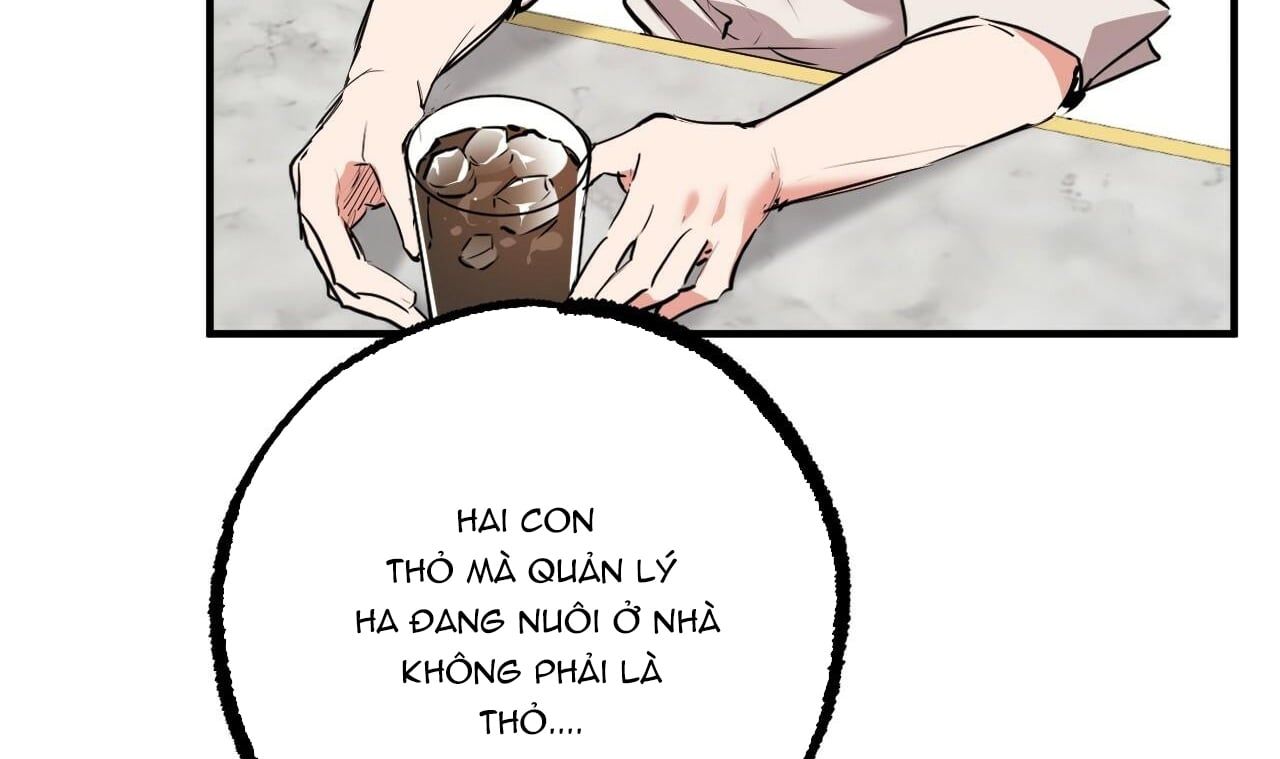 đọc truyện Những Chú Thỏ Của Hapypy Chương 34 ảnh 33 tại Giả Dược