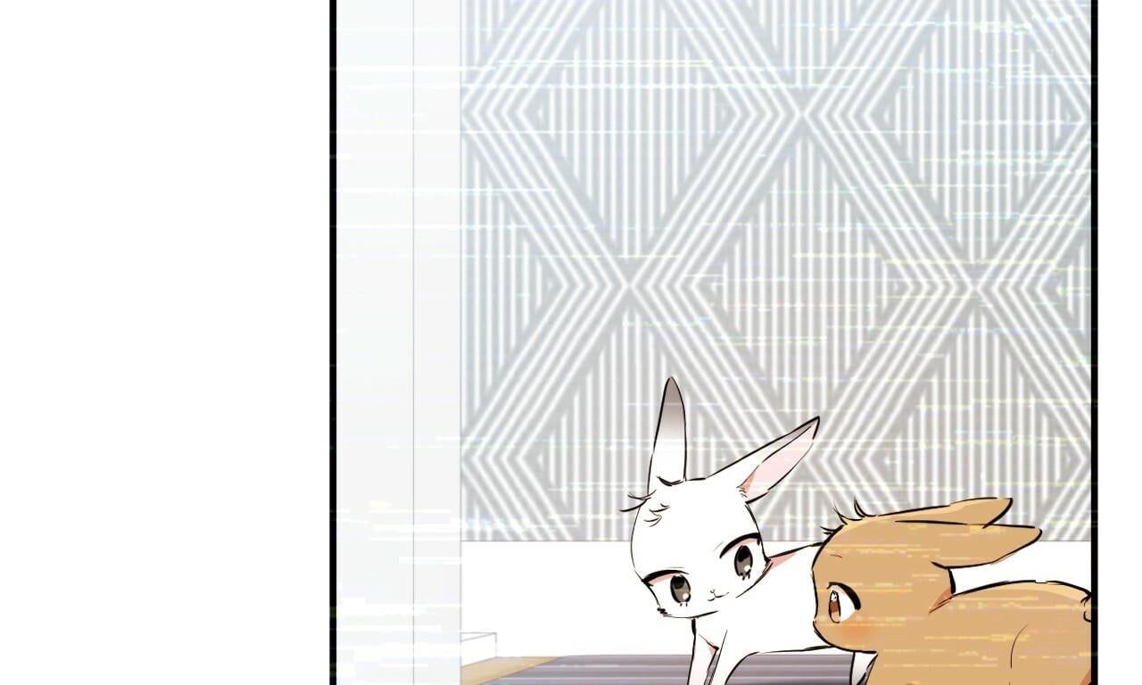 đọc truyện Những Chú Thỏ Của Hapypy Chương 34 ảnh 92 tại Giả Dược