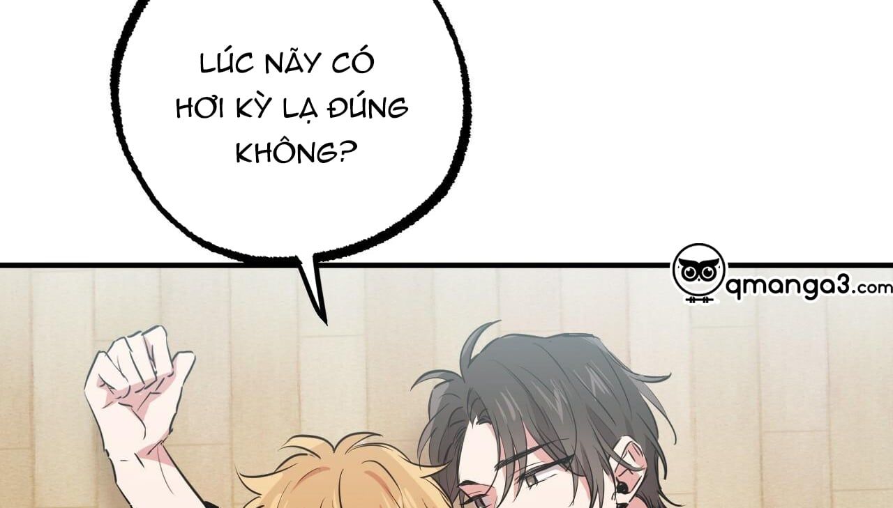 đọc truyện Những Chú Thỏ Của Hapypy Chương 35 ảnh 108 tại Giả Dược