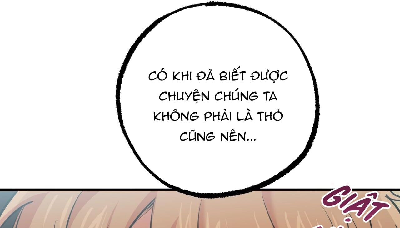 đọc truyện Những Chú Thỏ Của Hapypy Chương 35 ảnh 115 tại Giả Dược