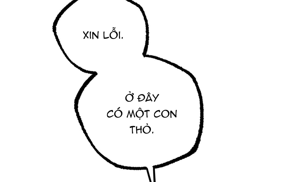 đọc truyện Những Chú Thỏ Của Hapypy Chương 35 ảnh 17 tại Giả Dược