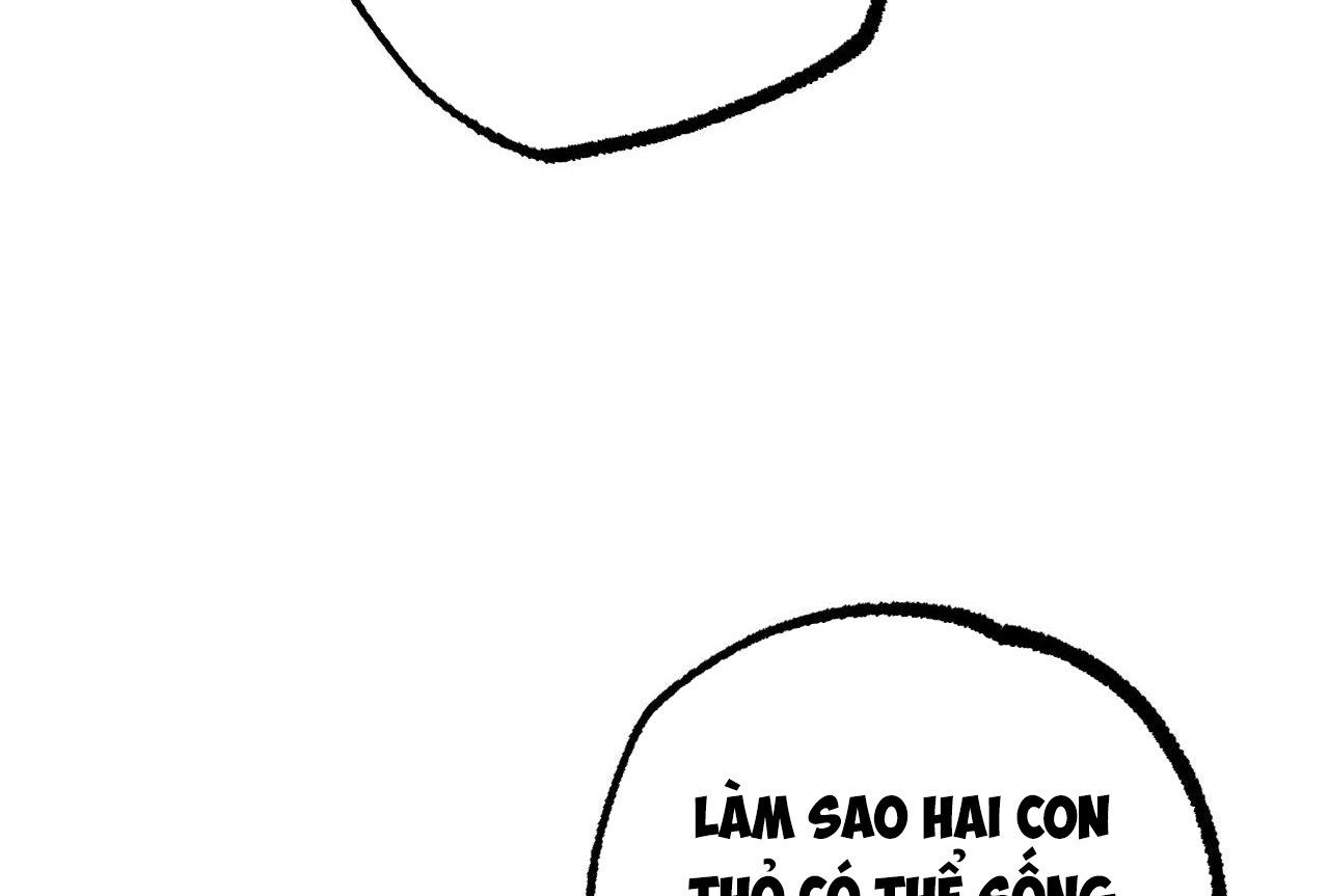 đọc truyện Những Chú Thỏ Của Hapypy Chương 35 ảnh 165 tại Giả Dược