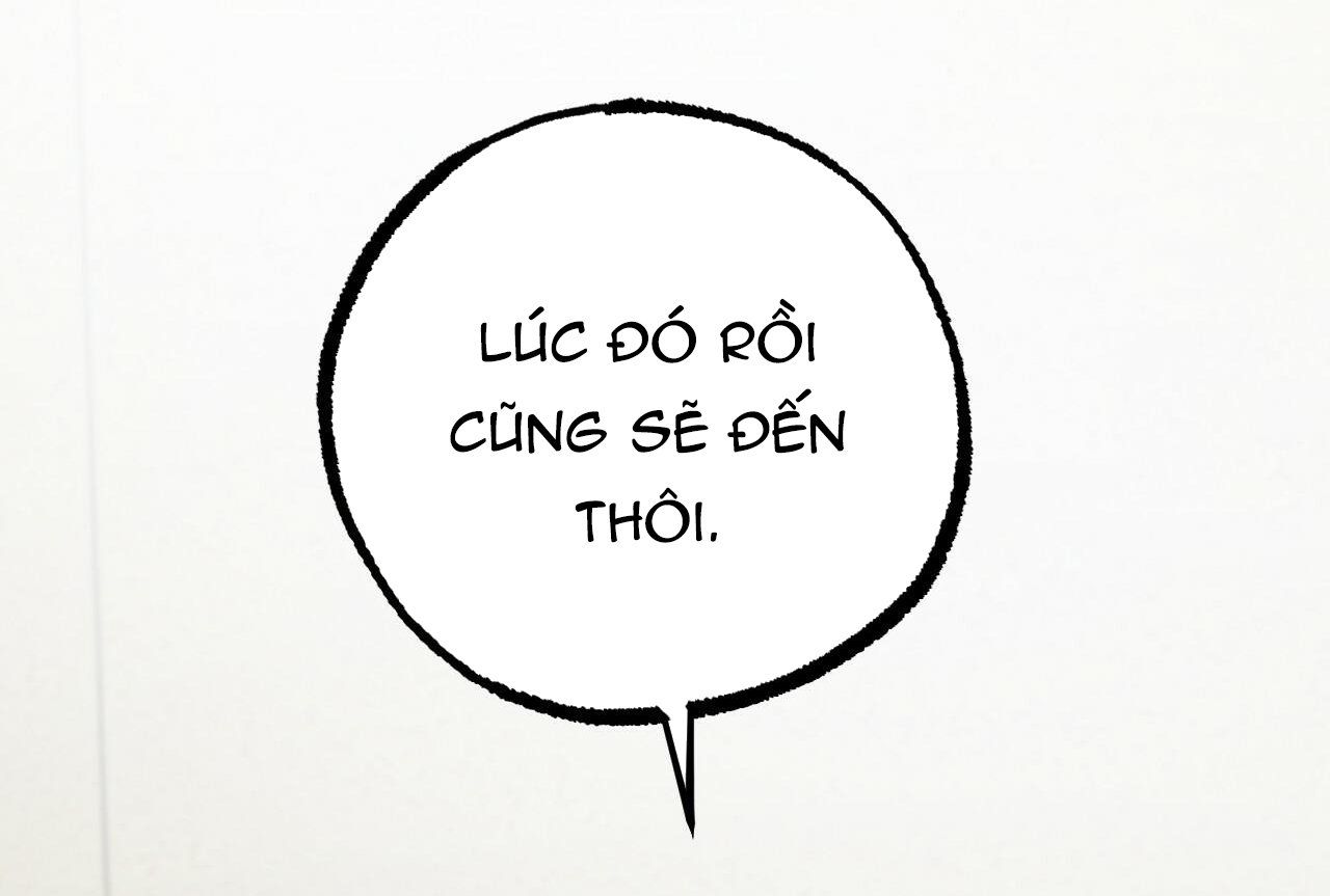đọc truyện Những Chú Thỏ Của Hapypy Chương 35 ảnh 179 tại Giả Dược
