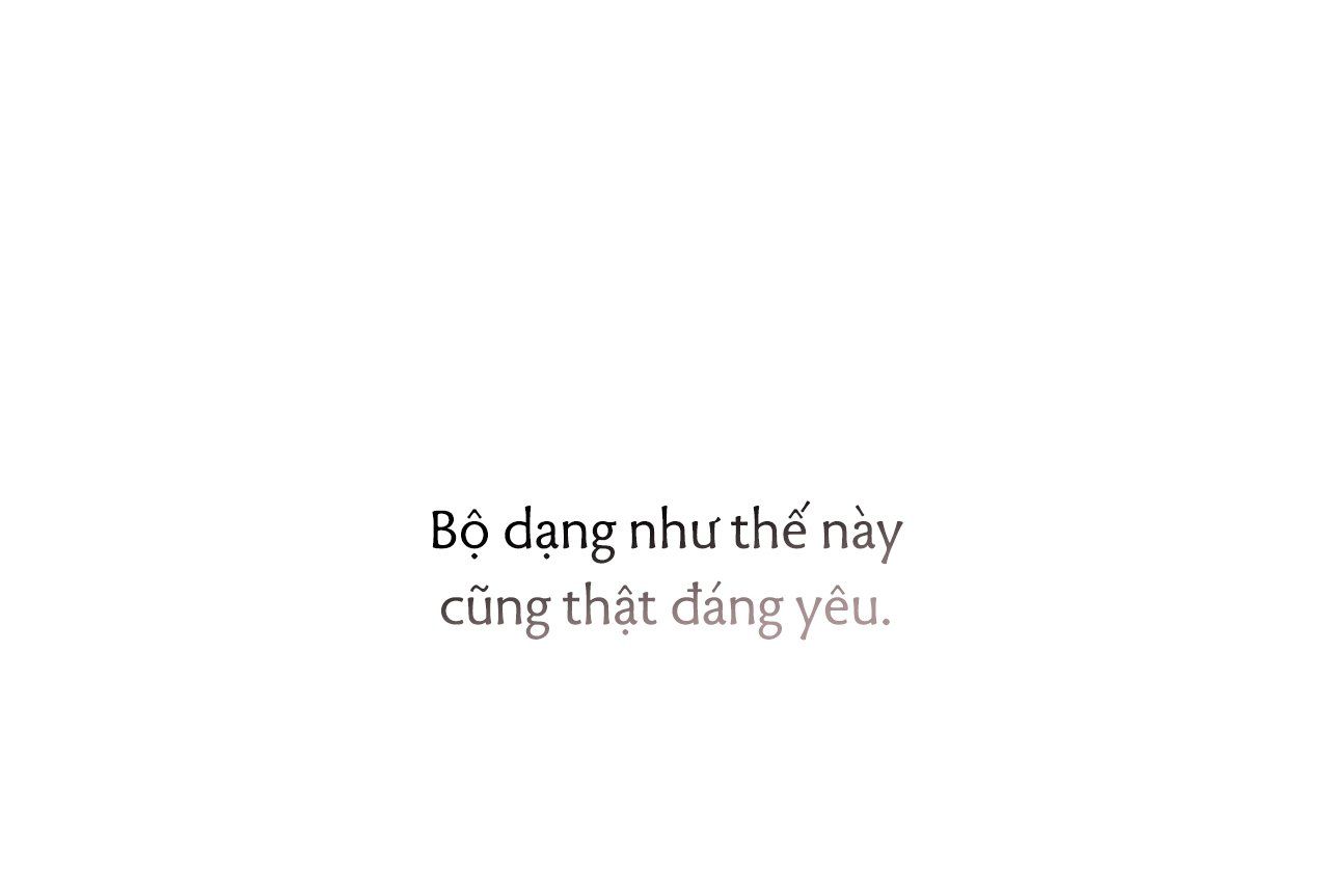 đọc truyện Những Chú Thỏ Của Hapypy Chương 35 ảnh 206 tại Giả Dược