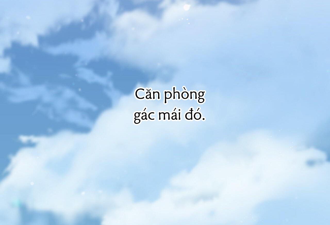 đọc truyện Những Chú Thỏ Của Hapypy Chương 35 ảnh 229 tại Giả Dược