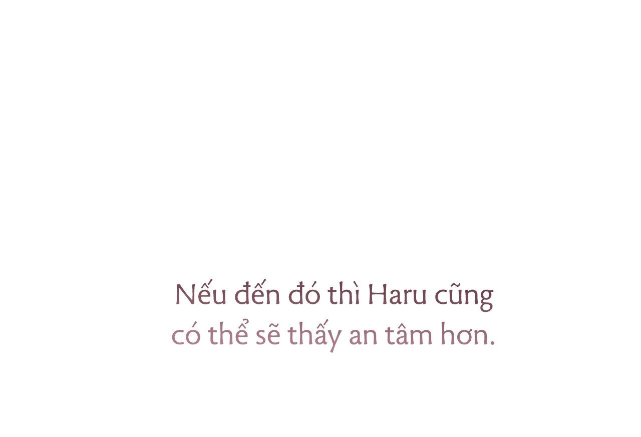 đọc truyện Những Chú Thỏ Của Hapypy Chương 35 ảnh 232 tại Giả Dược