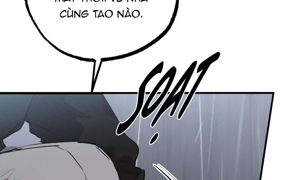 đọc truyện Những Chú Thỏ Của Hapypy Chương 35 ảnh 29 tại Giả Dược